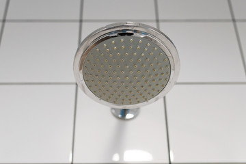 Shower head. Water supply is turned off