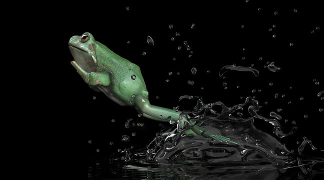 Side view of toad frog leaping forwad with splash of water