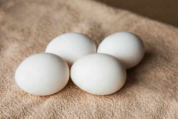white chicken eggs on brown towel
