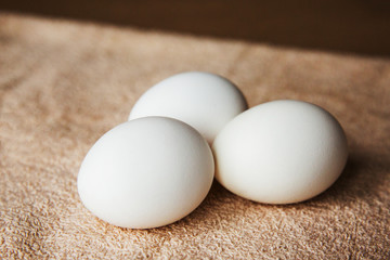 white chicken eggs on a brown towel