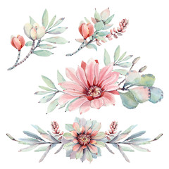 Watercolor succulents set in vintage style.