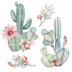 Aquarell-Sukkulenten im Vintage-Stil. © Lemaris