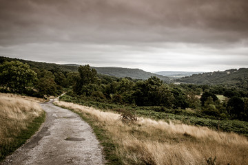 Grey skies over the woods and hills