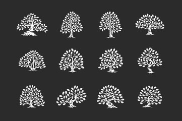 Huge and sacred oak tree plant silhouette logo isolated on dark background set.
