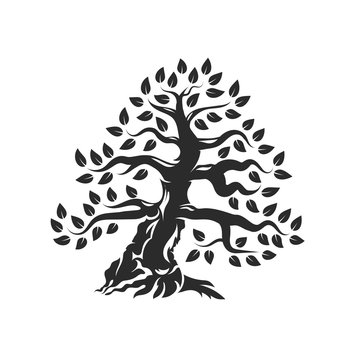 Organic natural and healthy olive tree silhouette logo isolated on white background.