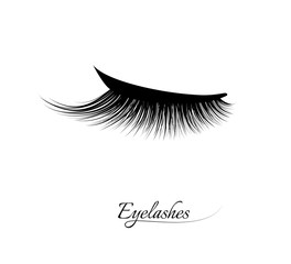 Eyelash extension. Beautiful black long eyelashes. Closed eye . False beauty cilia. Mascara natural effect. Professional glamor makeup.