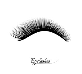 Eyelash extension. Beautiful black long eyelashes. False beauty cilia. Mascara natural effect. Professional glamor makeup.