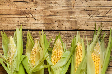 Fresh corn on cobs on rustic wooden table, closeup. Copy space