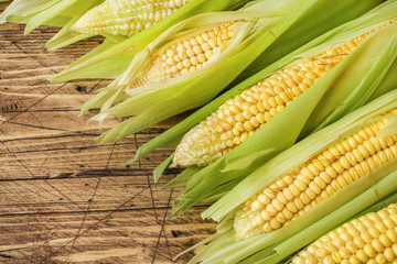 Fresh corn on cobs on rustic wooden table, closeup