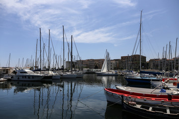 Fototapeta premium cala 