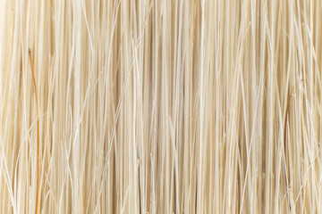 fibers of a brush, close-up