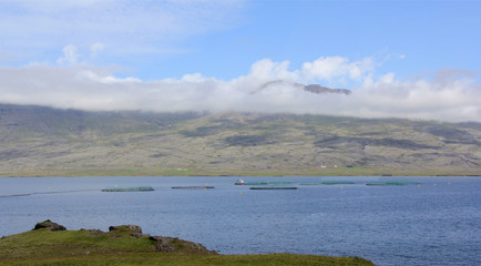 élevage en pleine mer