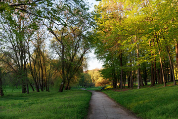 Fototapeta na wymiar Road in dendrarium park in Chisinau