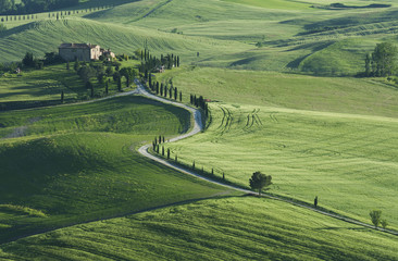 Fototapeta na wymiar idyllic Landscape in Pienza, Tuscany, Italy