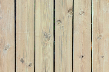 Fence of boards with knots. Smooth vertical slats. Background with old wood texture.