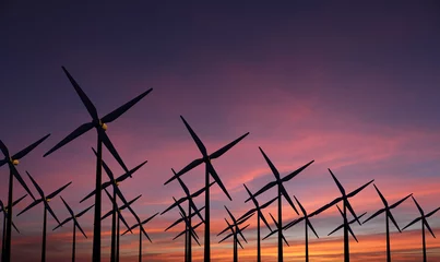 Fototapeten Windmolens tegen een avond lucht - park met veel wind molens © emieldelange