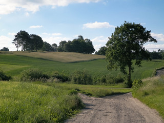 Fototapeta na wymiar Country landscape, typical Polish nature.