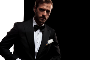 Obraz premium young businessman in tuxedo and bowtie posing