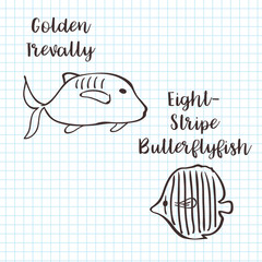 Golden trevally and butterflyfish vector sketch illustration.