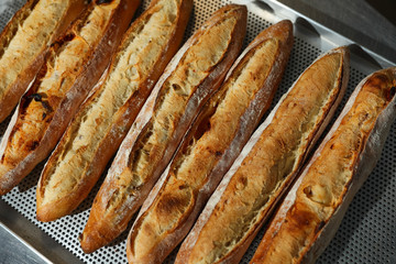 Many French baguettes on a baking sheet in the bakery
