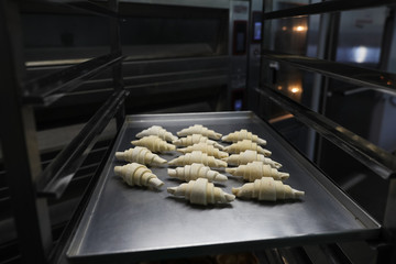 Frozen pieces for croissants on a baking sheet in a bakery