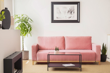 Poster above pink sofa between plants in living room interior with table and fireplace. Real photo