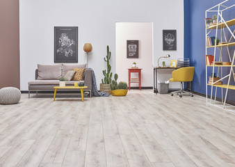 living room style brown white and blue decoration. carpet and parquet close up.