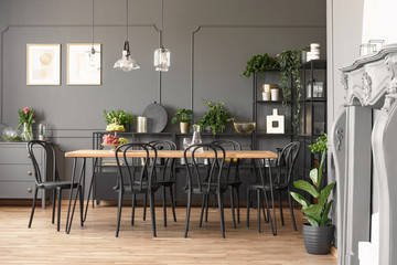 Lamps above wooden table and black chairs in grey dining room interior with plants. Real photo