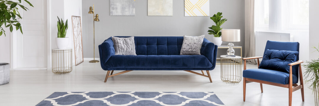Real photo of a modern living room interior with a blue sofa, armchair, plants and patterned rug