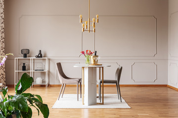 Plant near chairs at table with flowers in modern grey dining room interior with gold lamp. Real...