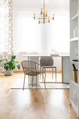 Gold chair at table in white modern dining room interior with plant and lamp. Real photo