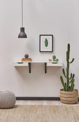 decorative white shelf frame and wicker vase of plant. grey puff and carpet decoration.