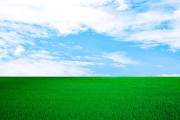 white cloud on blue sky and green field background Nature Landscape.in thailand summer.parks/outdoor.