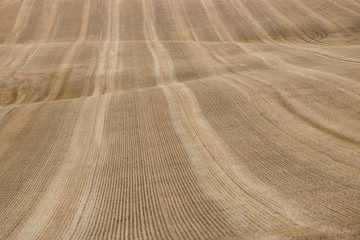 Field