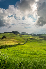 Wonderful hills and fields landscape in Sao Miguel, Azores Islands