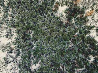 Aerial Photography of a Forest in Winter - vintage look edit