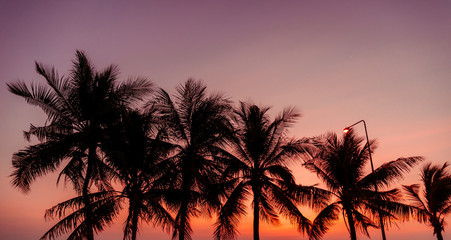 Fototapeta na wymiar Twilight sunset with coconut tree at the beach.,background.
