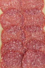 salami texture detail