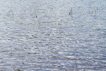 Water wave background