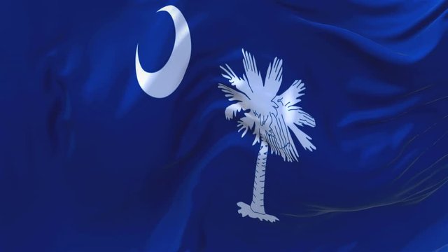 280. South Carolina Flag Waving in Wind Slow Motion Animation . 4K Realistic Fabric Texture Flag Smooth Blowing on a windy day Continuous Seamless Loop Background.
