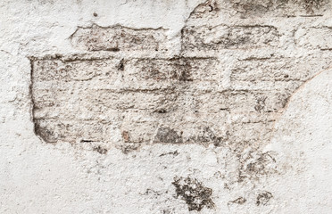 Old brick wall paint with white color