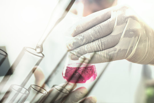 Experiment or scientist holding test tube in science lab