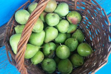Basket with pears. Candid.