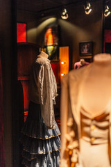 a flamenco costum for female