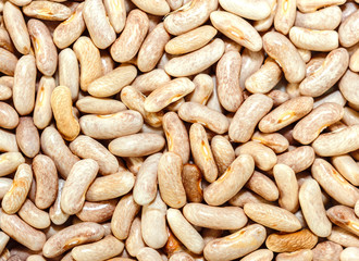 Grains of dry beans