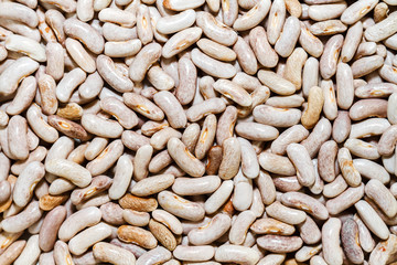 Grains of dry beans