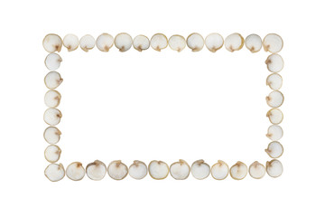 Quinoa seeds arranged in a rectangle shape and isolated on white background