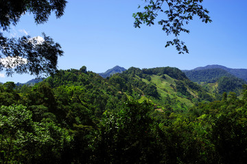 Fototapeta na wymiar Andes Mountains landscape in Jardin, Antioquia, Colombia, South America