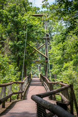 Walking Bridge 