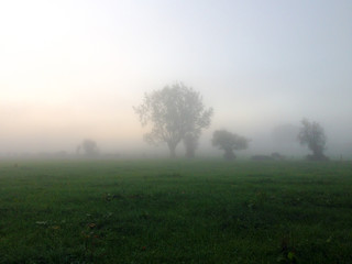 Fototapeta na wymiar Fog